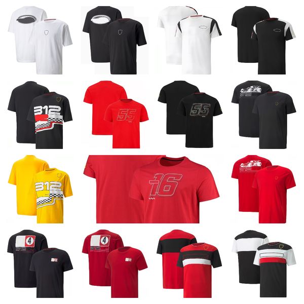 f1 official team driver t-shirt leisure sports quick-drying racing suit men's clothing can be customized.
f1 official team driver t-shirt leisure sports quick-drying racing suit men's clothing can be customized.