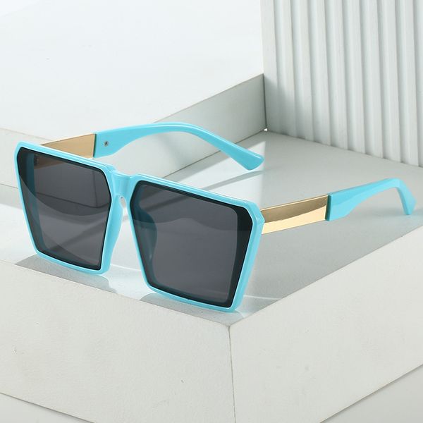 New large frame sunglasses Fashion versatile square glasses Simple retro sunglasses Female
New large frame sunglasses Fashion versatile square glasses Simple retro sunglasses Female