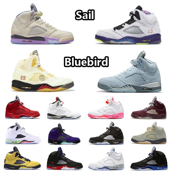 sail basketball shoes ice blue international flight crimson bliss trophy room metallic jade horizon alternate grape hyper royal 3 sneaker fo
sail basketball shoes ice blue international flight crimson bliss trophy room metallic jade horizon alternate grape hyper royal 3 sneaker fo