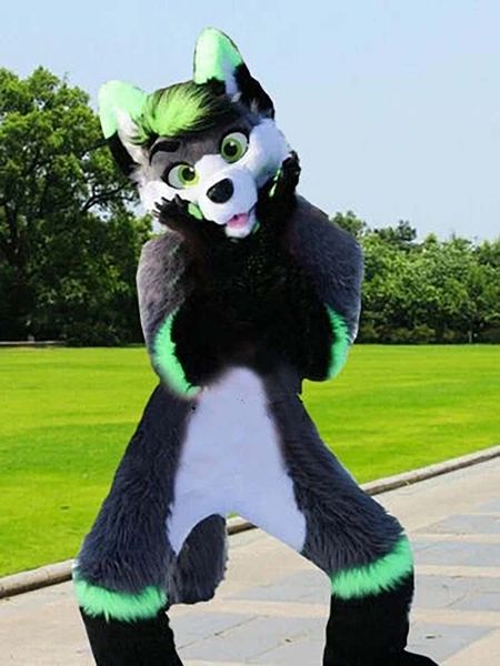mascot costumes long furry grey & green husky dog mascot costume customize cartoon anime theme character adults outfit christmas, Red;yellow
mascot costumes long furry grey & green husky dog mascot costume customize cartoon anime theme character adults outfit christmas, Red;yellow