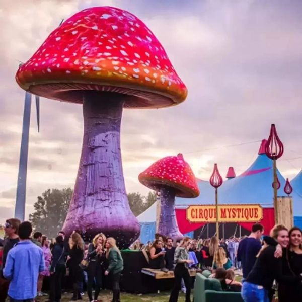 customized double red giant inflatable playhouse mushroom with led and blower for outside christmas party stage event decorations
customized double red giant inflatable playhouse mushroom with led and blower for outside christmas party stage event decorations