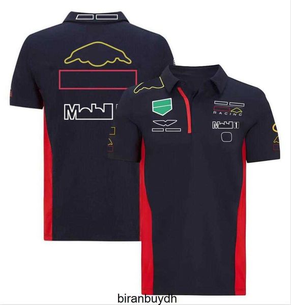 cycling men's t-shirts new f1 team formula one racing suit short-sleeved lapel polo shirt quick-drying breathable custom plus size, White;black
cycling men's t-shirts new f1 team formula one racing suit short-sleeved lapel polo shirt quick-drying breathable custom plus size, White;black
