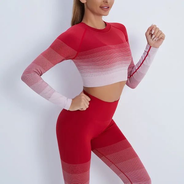 seamless yoga clothes women outfit summer gradient two piece long sleeve butt lifting leggings set, White;red
seamless yoga clothes women outfit summer gradient two piece long sleeve butt lifting leggings set, White;red