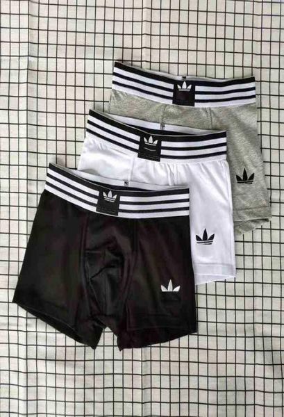 designer luxury clover print hip hop mens underpants boxers for man underwear cueca boxer 3 pieces with box single piece can 9000725, Black;white
designer luxury clover print hip hop mens underpants boxers for man underwear cueca boxer 3 pieces with box single piece can 9000725, Black;white