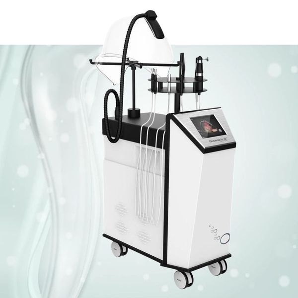 multi-functional oxygen machine for facial skin care home beauty instrument
multi-functional oxygen machine for facial skin care home beauty instrument