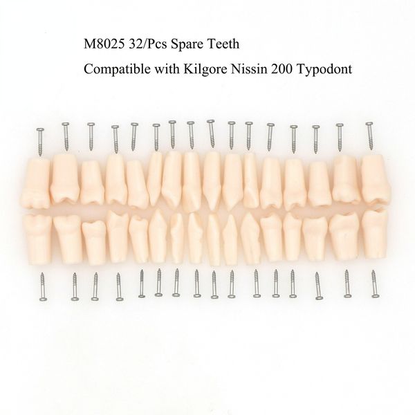 dental floss kilgore nissin 200 type 32 pcs replacement spare teeth typodont model m8025 230321
dental floss kilgore nissin 200 type 32 pcs replacement spare teeth typodont model m8025 230321