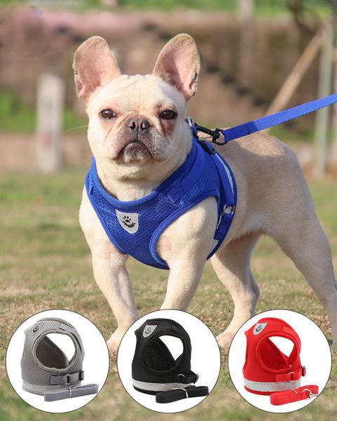 Dog Harness and Leash Set for Walking Cat and Dog Harness Soft Mesh Harness Adjustable Cat Vest Harness with Reflective Strap Comfort Fit for Pet Kitten Puppy Rabbit
Dog Harness and Leash Set for Walking Cat and Dog Harness Soft Mesh Harness Adjustable Cat Vest Harness with Reflective Strap Comfort Fit for Pet Kitten Puppy Rabbit
