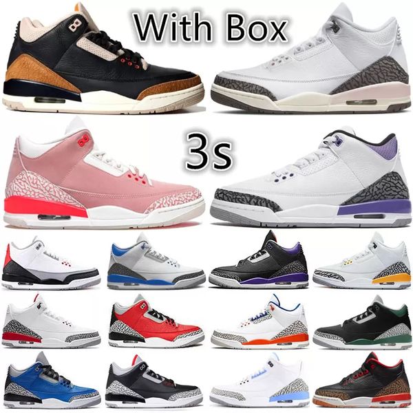2023 with box high og 3 se muslin kumquat 3s mens basketball shoes elephant desert mocha 5 5s university blue we the green bean men sports w
2023 with box high og 3 se muslin kumquat 3s mens basketball shoes elephant desert mocha 5 5s university blue we the green bean men sports w