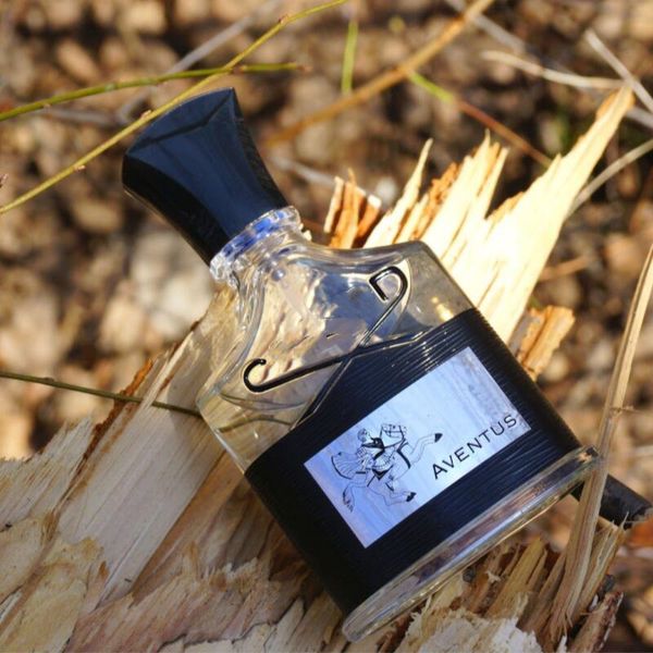 no.1 luxury men perfume,eau de parfum de marque,branded perfume 100ml faith in napoleon perfume
no.1 luxury men perfume,eau de parfum de marque,branded perfume 100ml faith in napoleon perfume