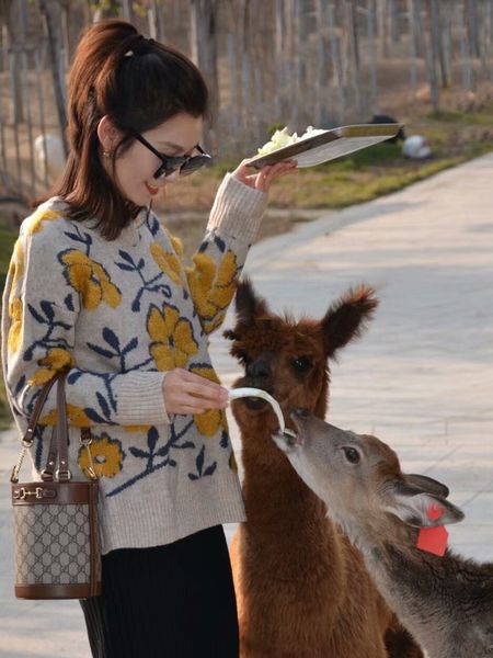 wallets long lady wallet card holder hand bags purse women wallets cowhide rivet square rotary lock multi pochette 002
wallets long lady wallet card holder hand bags purse women wallets cowhide rivet square rotary lock multi pochette 002