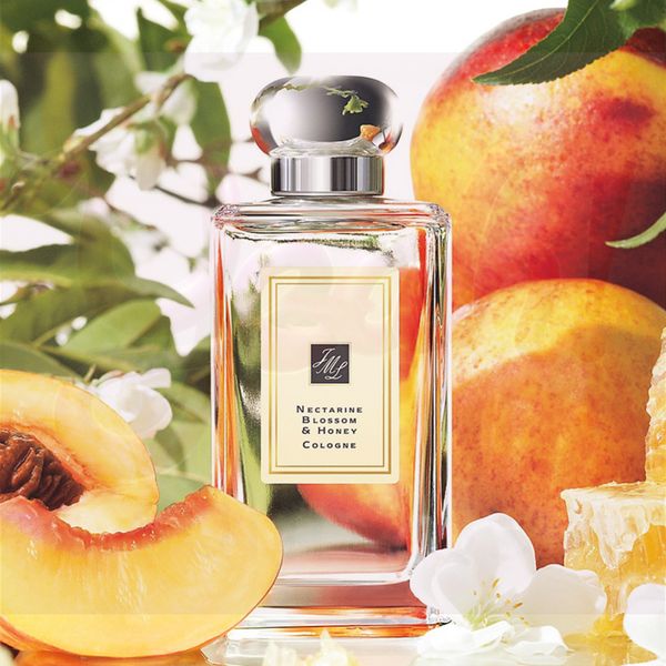 private label perfume for women deodorant lasting fashion lady flower fragrance 100ml nectarine blossom honey
private label perfume for women deodorant lasting fashion lady flower fragrance 100ml nectarine blossom honey