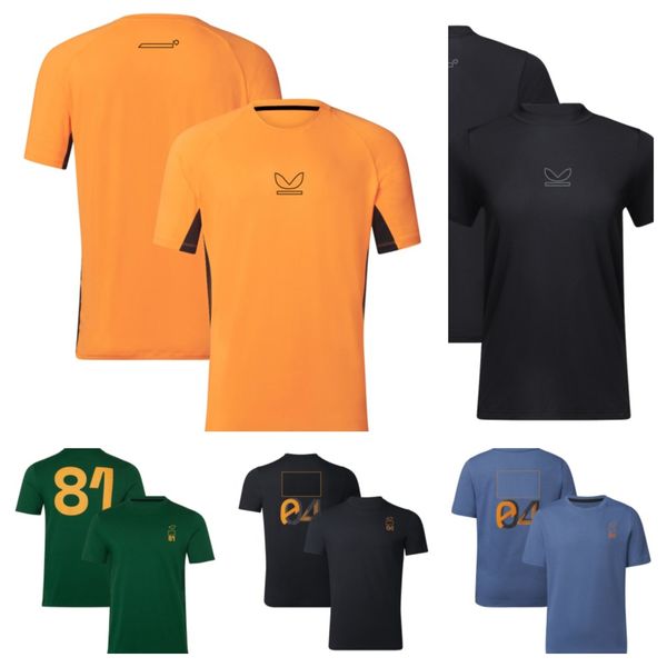 2023 new f1 racing suit summer short-sleeved round neck quick-drying shirt men's custom team driver's t-shirt
2023 new f1 racing suit summer short-sleeved round neck quick-drying shirt men's custom team driver's t-shirt