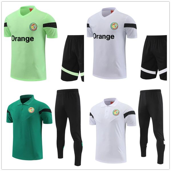 2022 2023 men's tracksuits senegal football training suit running training shirt senegal national football team polo shirt, Gray
2022 2023 men's tracksuits senegal football training suit running training shirt senegal national football team polo shirt, Gray