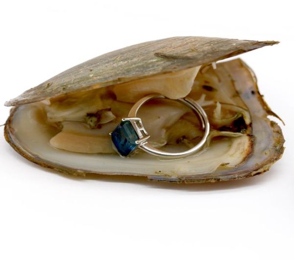 fortune freshwater oysters with sterling silver gem ring or pearl ring jewelry gifts shell love wish pearl oyster vacuumpacked7687311, White
fortune freshwater oysters with sterling silver gem ring or pearl ring jewelry gifts shell love wish pearl oyster vacuumpacked7687311, White