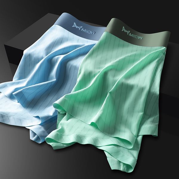 underpants grade 2pcs ice silk men's panties boxers quick dry shorts underpants graphene antibacterial man underwear boxer men 230327, Black;white
underpants grade 2pcs ice silk men's panties boxers quick dry shorts underpants graphene antibacterial man underwear boxer men 230327, Black;white