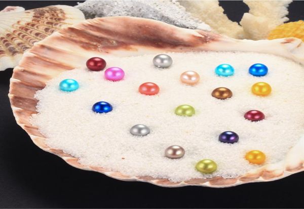 diy freshwater pearls in oysters 25 colors pearls oyster pearls with vacuumpacking luxury jewelry birthday gift for women5887727, White
diy freshwater pearls in oysters 25 colors pearls oyster pearls with vacuumpacking luxury jewelry birthday gift for women5887727, White