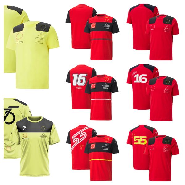 2023 summer new f1 racing suit red round neck quick-drying short-sleeved team version racing suit men's wear can be customized.
2023 summer new f1 racing suit red round neck quick-drying short-sleeved team version racing suit men's wear can be customized.