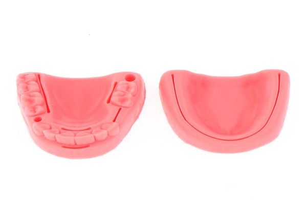 other oral hygiene 2pcs skin suture training kit pad dental oral gum module silicone periodontitis model 2211145490113
other oral hygiene 2pcs skin suture training kit pad dental oral gum module silicone periodontitis model 2211145490113
