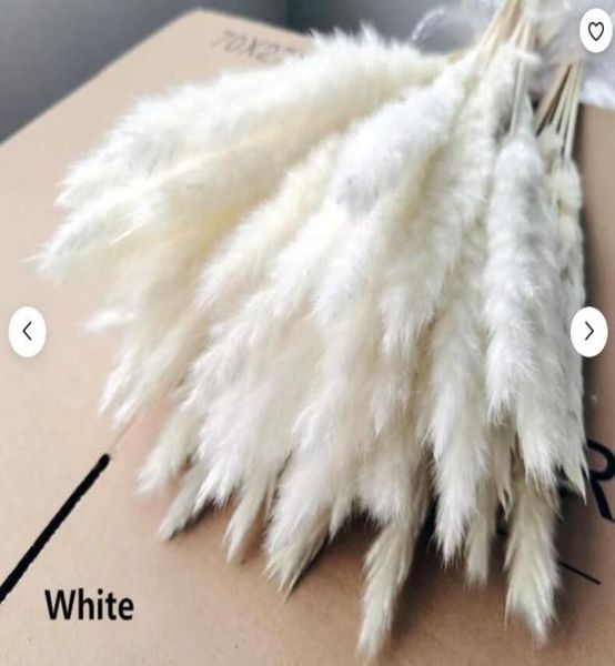 15pcs white pampas grass 24quot dried flowers for home decor wedding floral decorations boho decor6099602
15pcs white pampas grass 24quot dried flowers for home decor wedding floral decorations boho decor6099602