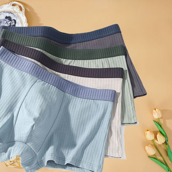 underpants 3 pcs/lot men's cotton stripe boxer lingerie mens underpants underwear boxer shorts boxer briefs panties plus size l-4xl 230, Black;white
underpants 3 pcs/lot men's cotton stripe boxer lingerie mens underpants underwear boxer shorts boxer briefs panties plus size l-4xl 230, Black;white
