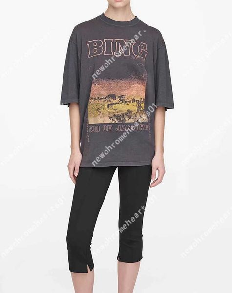 23ss anine bing women designer t shirt letter city sunset digital printing loose fashion short sleeved tees, White
23ss anine bing women designer t shirt letter city sunset digital printing loose fashion short sleeved tees, White