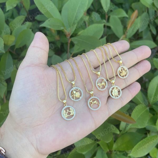 gold plated copper micro inlaid full crystal pendant necklace for women men 12 constellations jewelry gift, Silver
gold plated copper micro inlaid full crystal pendant necklace for women men 12 constellations jewelry gift, Silver