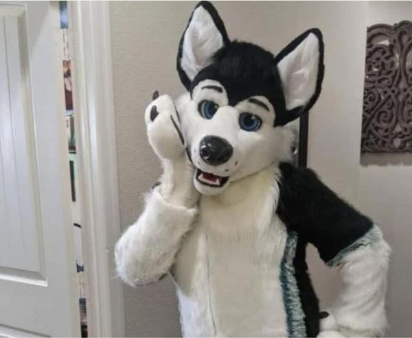 ew furry white wolf husky dog mascot costumes movie props show halloween birthday party outdoor event, Red;yellow
ew furry white wolf husky dog mascot costumes movie props show halloween birthday party outdoor event, Red;yellow
