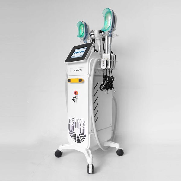 body sculpting & slimmin 360 cryo rf machine cavitation 40k cryolipolysis tech rf function vacuum equipment
body sculpting & slimmin 360 cryo rf machine cavitation 40k cryolipolysis tech rf function vacuum equipment