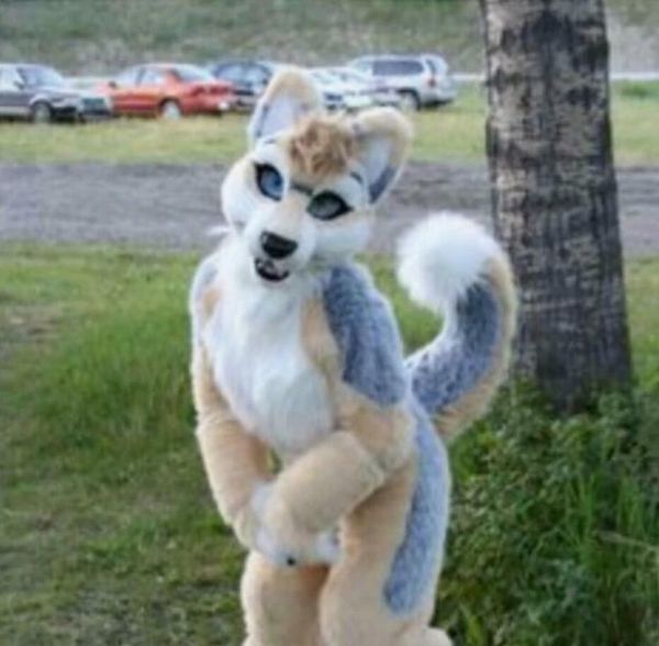 dog bent legs fursuit mascot costume faux fur suit party outfit dress size outdoor decorations, Red;yellow
dog bent legs fursuit mascot costume faux fur suit party outfit dress size outdoor decorations, Red;yellow