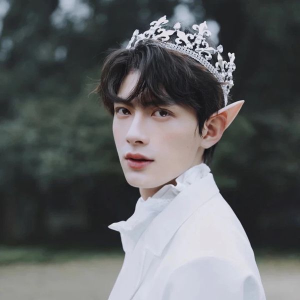 cross-border king crown metal men's queen hair ornament crown performance headwear universal prince crown for men and women ts-0313, Silver
cross-border king crown metal men's queen hair ornament crown performance headwear universal prince crown for men and women ts-0313, Silver