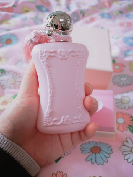 woman perfumes fragrance spray delina 75ml edp perfume charming royal essence fast ng
woman perfumes fragrance spray delina 75ml edp perfume charming royal essence fast ng