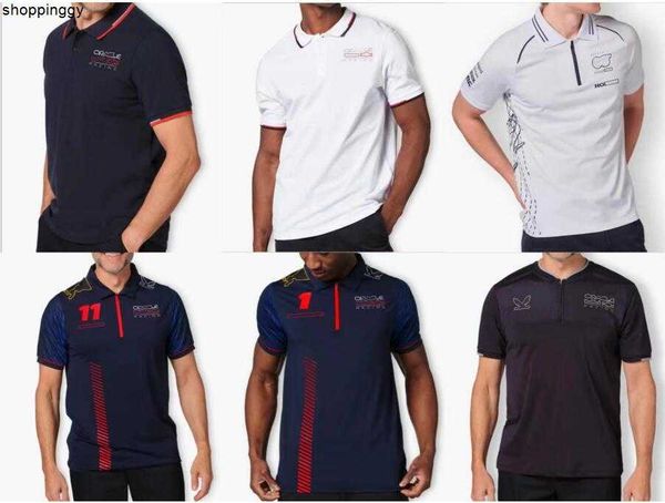 men's t-shirts 2023 new f1 racing polo uniform summer team lapel t-shirt with custom, White;black
men's t-shirts 2023 new f1 racing polo uniform summer team lapel t-shirt with custom, White;black