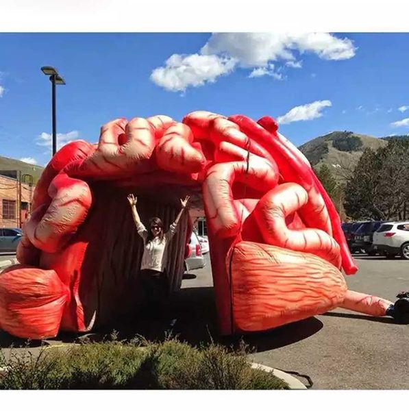 4m lifelike 4m giant inflatable brain model colorful promotional fearful cerebrum tunnel tent for medical display
4m lifelike 4m giant inflatable brain model colorful promotional fearful cerebrum tunnel tent for medical display