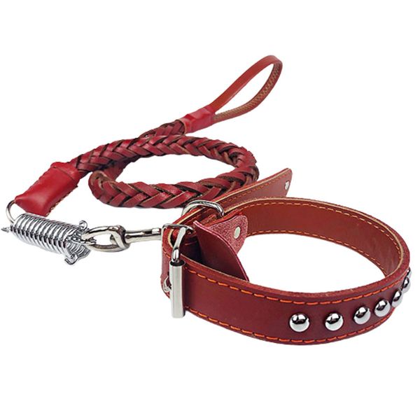 

Leather Dog Leash and Collar Set,Soft Leather Collar and Strong Braided Leash,Comfortable Dog Training Leash for Walking,Leather Set for Medium and Large Dog
