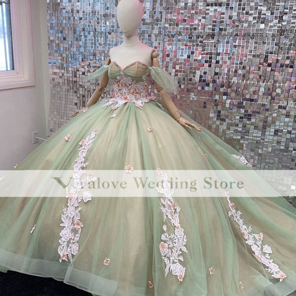 princess vestido de 15 anos quinceanera dress floral applique girls pageant dress ball gown sweet 16 prom gowns, Blue;red
princess vestido de 15 anos quinceanera dress floral applique girls pageant dress ball gown sweet 16 prom gowns, Blue;red