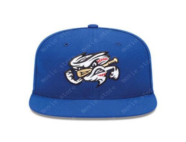 omaha storm chasers embroidered adjustable baseball cap snapback hat7284411, Black;white
omaha storm chasers embroidered adjustable baseball cap snapback hat7284411, Black;white