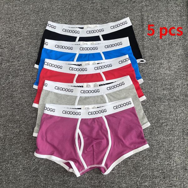 underpants 5 pcs/lot ceodogg 365 men male underwear men's boxer underwear trunks cotton boxer shorts underwear lingerie men 230508, Black;white
underpants 5 pcs/lot ceodogg 365 men male underwear men's boxer underwear trunks cotton boxer shorts underwear lingerie men 230508, Black;white