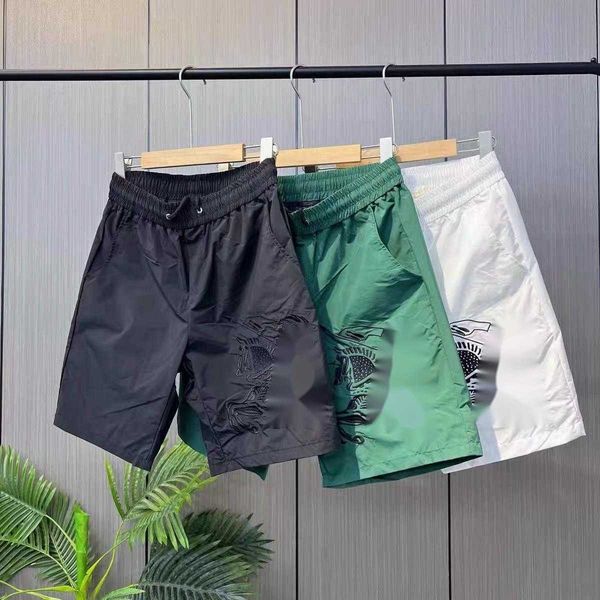 summer beach pants mens shorts tb warhorse embroidered sweatpants burb designer pants men shorts quick drying trousers 4xl 5xl, White;black
summer beach pants mens shorts tb warhorse embroidered sweatpants burb designer pants men shorts quick drying trousers 4xl 5xl, White;black