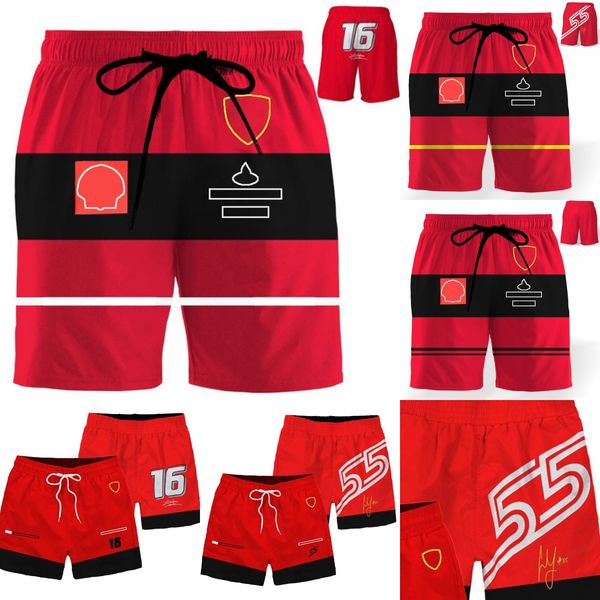 2023 new f1 team red shorts formula 1 racing driver signature summer beach pants extreme sports men's casual fashion shorts
2023 new f1 team red shorts formula 1 racing driver signature summer beach pants extreme sports men's casual fashion shorts