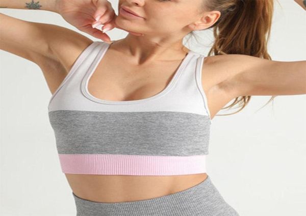 yoga bra women seamless shockproof sports brassiere fitness workout gym joggings athletic underwear2544628, White;black
yoga bra women seamless shockproof sports brassiere fitness workout gym joggings athletic underwear2544628, White;black