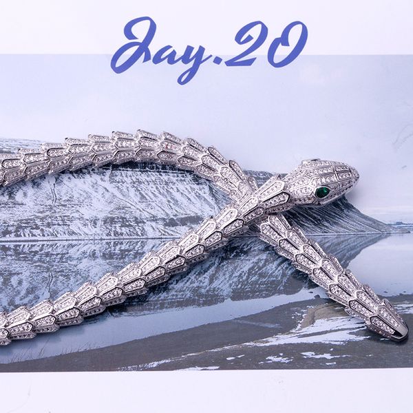 gold wide snake diamond choker necklace for women men trendy silver gold luxury tennis indian jewelry designer women jewlery party gifts wed, Golden;silver
gold wide snake diamond choker necklace for women men trendy silver gold luxury tennis indian jewelry designer women jewlery party gifts wed, Golden;silver