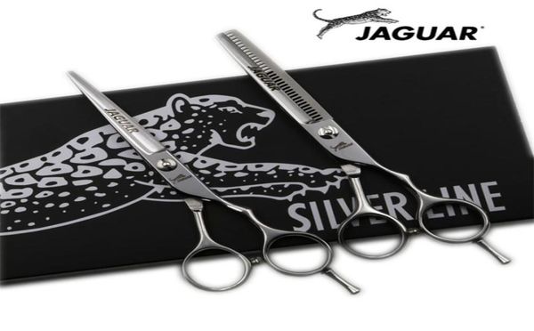 scissors shears 55 inch professional hairdressing scissors set cuttingthinning barber shears 2210273422632
scissors shears 55 inch professional hairdressing scissors set cuttingthinning barber shears 2210273422632