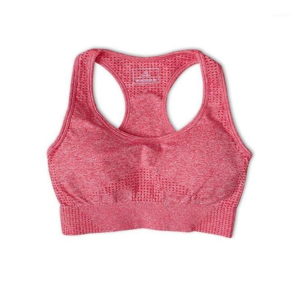 women seamless fitness sport bra female sports workout gym clothing sportswear running yoga pushup5527299, White;black
women seamless fitness sport bra female sports workout gym clothing sportswear running yoga pushup5527299, White;black