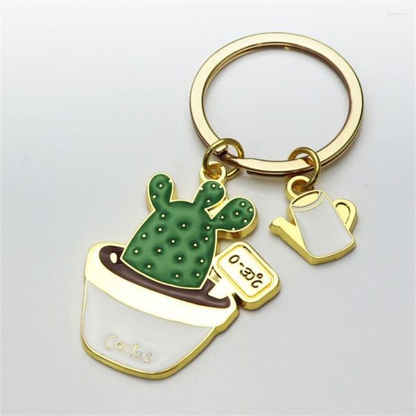 keychains lovely metal cactus pot keychain birthday gift succulent plants keyrings for women purse decorative pendant accessories, Silver
keychains lovely metal cactus pot keychain birthday gift succulent plants keyrings for women purse decorative pendant accessories, Silver