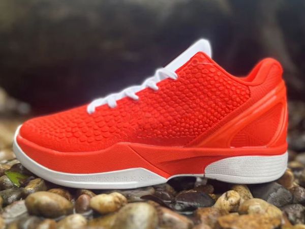 2023 black mamba 6 protro university red metallic red white basketball shoes 6s mambacita reverse grinch bhm lakers men sport outdoor shoes
2023 black mamba 6 protro university red metallic red white basketball shoes 6s mambacita reverse grinch bhm lakers men sport outdoor shoes