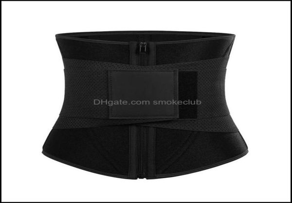 support safety athletic outdoor as sports outdoors womens sha waist trimmer aben slimming belt body sha1 drop delivery 2021 c02d3432749, Black;gray
support safety athletic outdoor as sports outdoors womens sha waist trimmer aben slimming belt body sha1 drop delivery 2021 c02d3432749, Black;gray