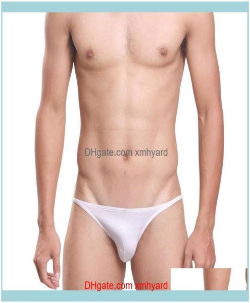 mens swimming equipment sports outdoorsmens bikini briefs swimwear bot male cotton panties low rise beach bathing underpant4403526
mens swimming equipment sports outdoorsmens bikini briefs swimwear bot male cotton panties low rise beach bathing underpant4403526