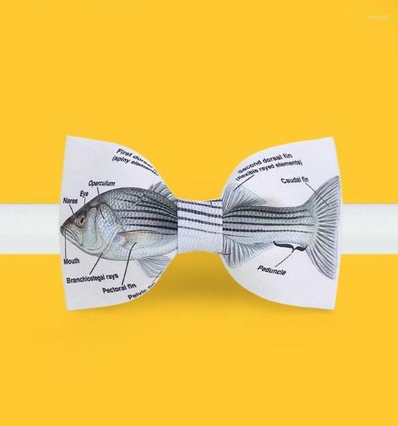 brand quality bow tie with gift for adults design gentlemen fashion butterfly men knot neck ties3588558, Blue;purple
brand quality bow tie with gift for adults design gentlemen fashion butterfly men knot neck ties3588558, Blue;purple