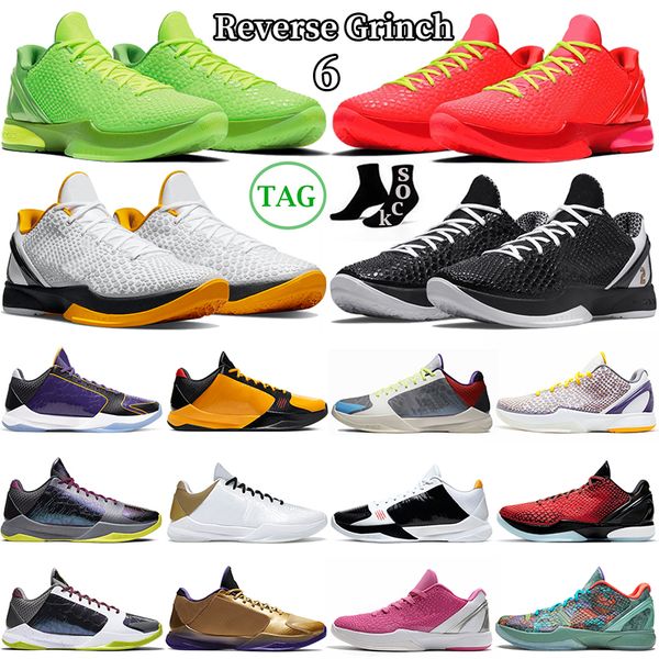 mamba 6 reverse grinch mamba basketball shoes mens protro prelude mambacita 5 alternate bruce lee del sol hall of fame laker lakers outdoor
mamba 6 reverse grinch mamba basketball shoes mens protro prelude mambacita 5 alternate bruce lee del sol hall of fame laker lakers outdoor
