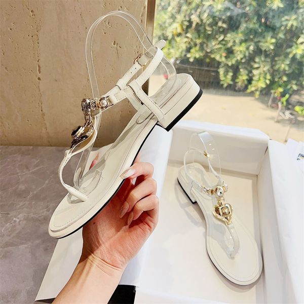 designer beach shoes cc sandals women fashion footwear summer leather slippers ccity slides indoor flip flops woman outdoor shoes ad2
designer beach shoes cc sandals women fashion footwear summer leather slippers ccity slides indoor flip flops woman outdoor shoes ad2